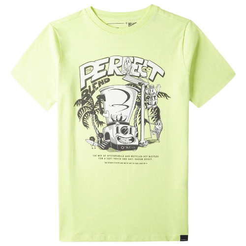 O'neill Παιδική κοντομάνικη μπλούζα Blend T-shirt